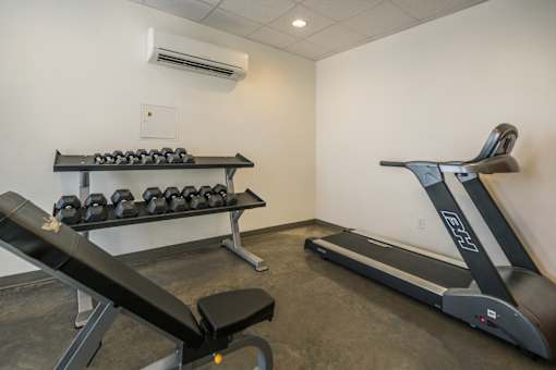 A treadmill and a bench with dumbbells in a gym.