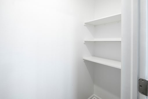 Shelves at Mammoth at the Orchard Apartments, Arkansas, 72756