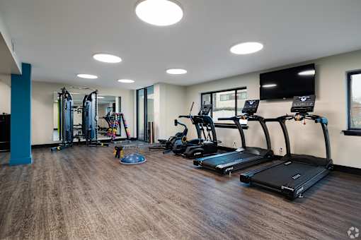 A gym with treadmills, weights, and a television.