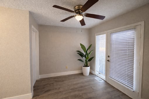 A room with a ceiling fan and a plant in a white pot.