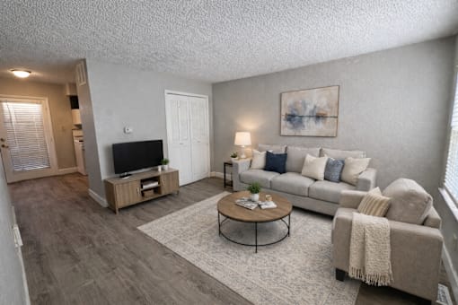 A living room with a grey couch, a coffee table, and a television.