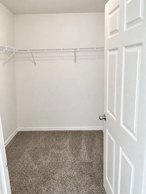 A white closet with a carpeted floor and a white door.