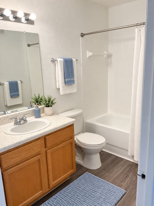 A bathroom with a toilet, sink, and shower.