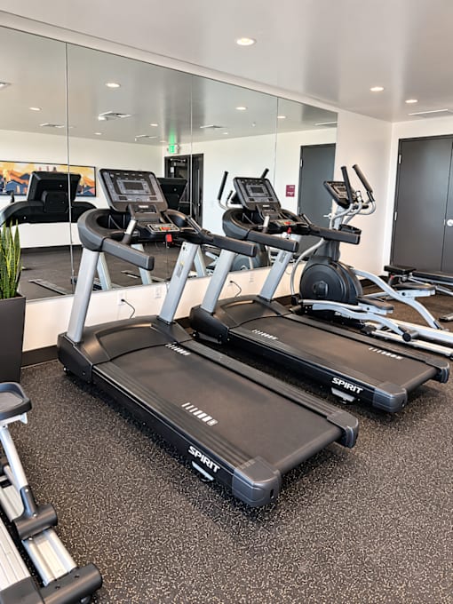 A gym with treadmills and elliptical machines.