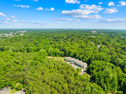 A large expanse of green trees with a building in the distance.