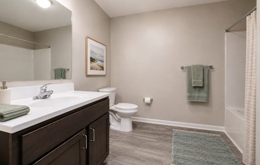 A bathroom with a toilet, sink, and a rug.