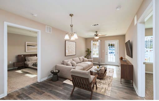 A living room with a couch, chair, and a rug.