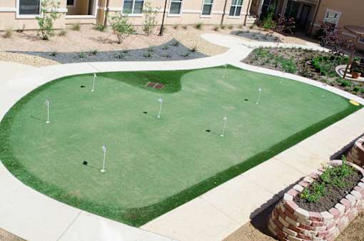A small putting green in a backyard.
