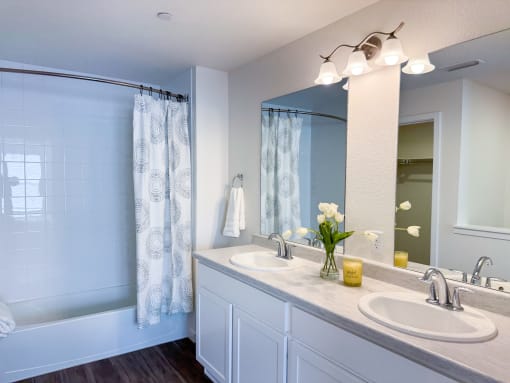 a bathroom with two sinks and a shower and a mirror