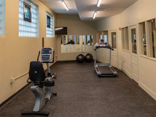 A gym with a treadmill, exercise bike, and two exercise balls.