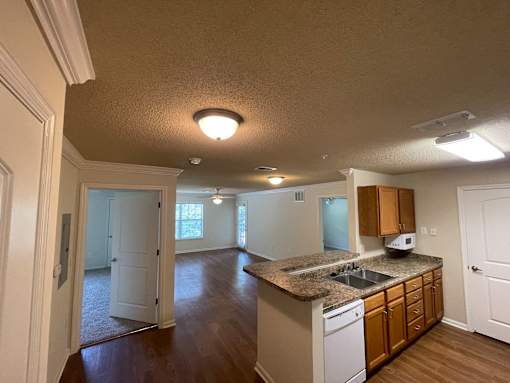 A kitchen with a sink, counter, and cabinets.