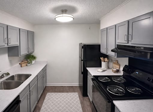 A kitchen with a black refrigerator, stove, and cabinets.