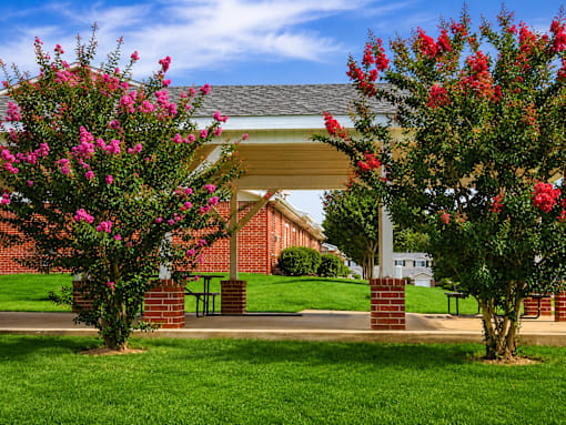 A building with a covered walkway is flanked by two trees with pink flowers.