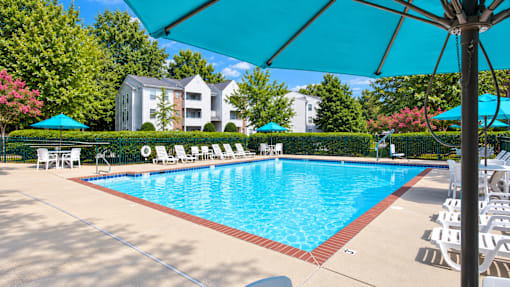 A swimming pool surrounded by lounge chairs and umbrellas.