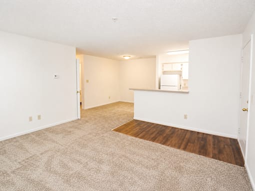 A room with a carpeted floor and a wooden floor in the middle.