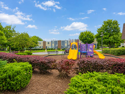 A playground with a purple slide and a yellow slide.