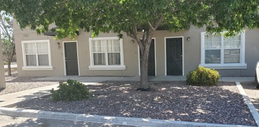 a front yard with a tree in front of a building