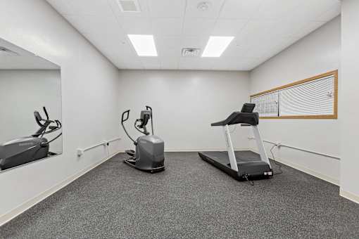 A room with a treadmill, stationary bike, and rowing machine.