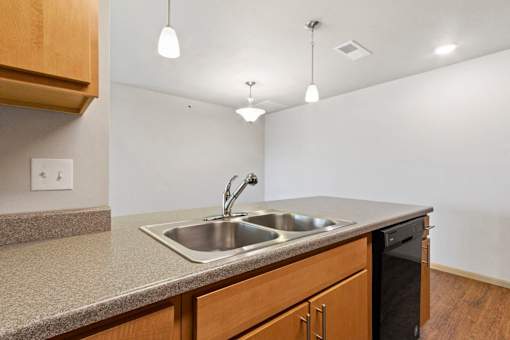 A kitchen with a sink and a dishwasher.