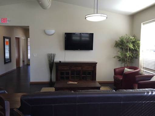 A living room with a couch, a television, and a plant.