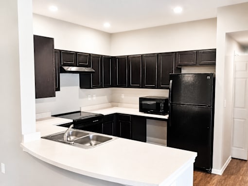 A black and white kitchen with a sink and a refrigerator.