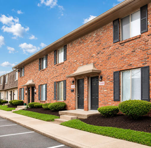 A row of red brick houses with black shutters and white windows.