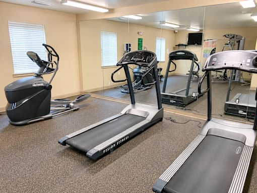 A gym with treadmills and elliptical machines.