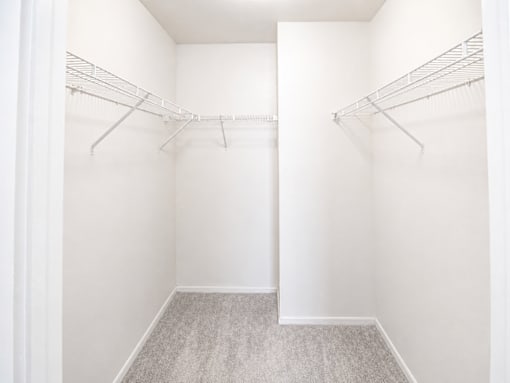 Empty white closet with shelves and carpeted floor.