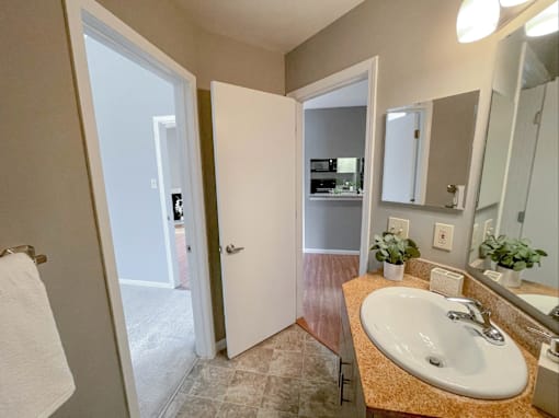 a bathroom with a sink and a mirror