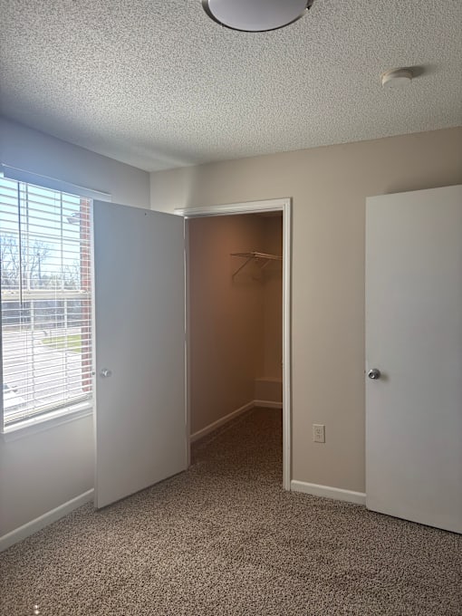 A room with a carpeted floor and a doorway leading to another room.