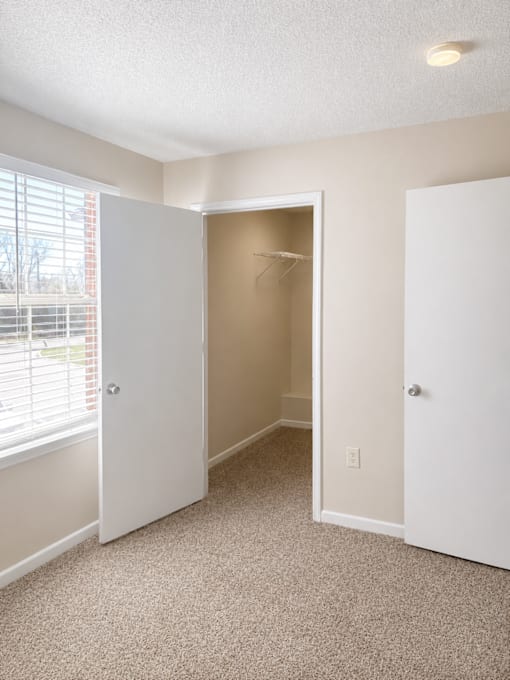 A room with a carpeted floor and two white doors.
