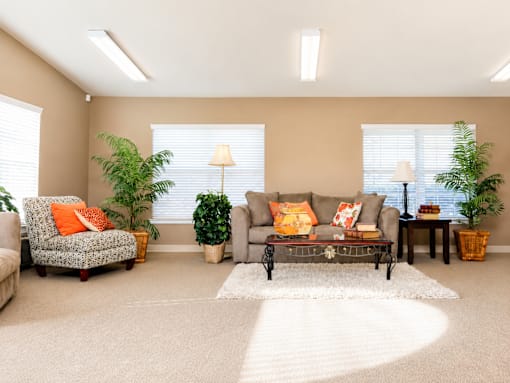 A living room with a grey couch, a chair, a coffee table, and two potted plants.