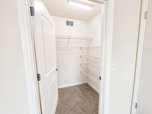 A white closet with a carpeted floor and shelves.