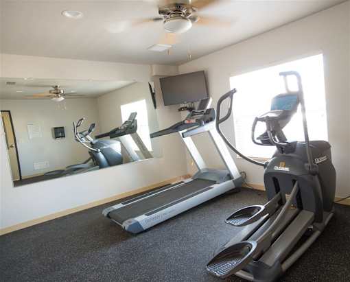 A room with a treadmill, a stationary bike, and a mirror.