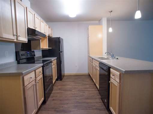 A kitchen with black appliances and wooden cabinets.