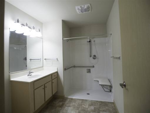 A bathroom with a sink, mirror, and shower.