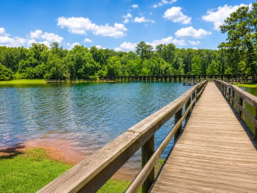 A wooden walkway leads to a serene lake surrounded by lush green trees.