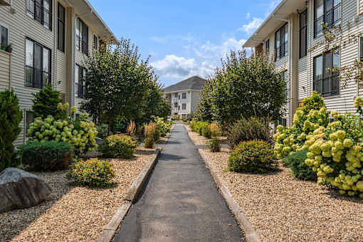 A long, narrow pathway separates two rows of apartment buildings.