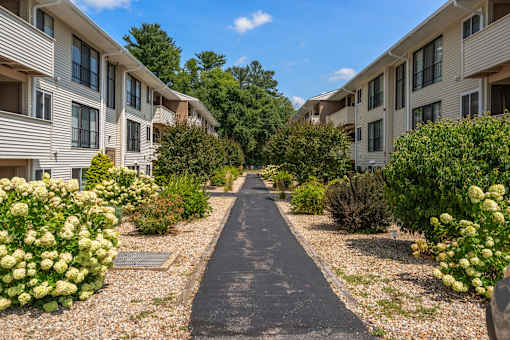 A long, narrow pathway separates two rows of apartment buildings.