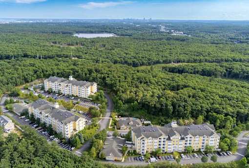 A bird's eye view of a resort surrounded by trees.