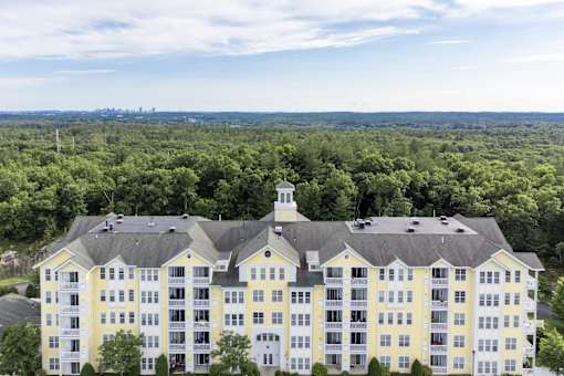 A large white building with a clock tower sits in the middle of a green forest.