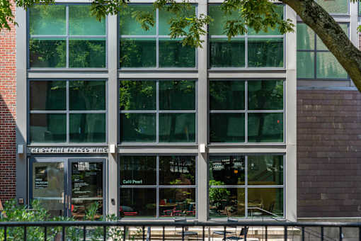 The exterior of a building with a glass facade and a tree in front.