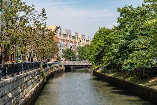 A canal with a bridge in the middle and trees on both sides, Park Row West in background.