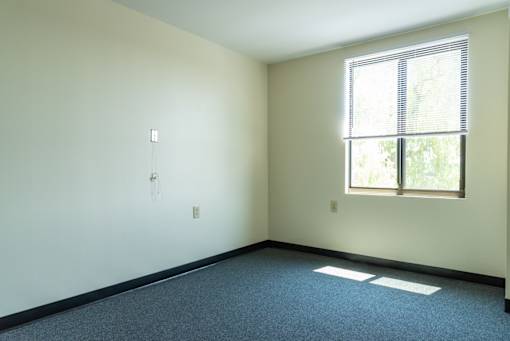 A room with a window and a carpeted floor.