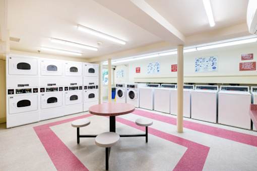 Shared laundry facility with washers and dryers at Blue Ridge Estates, Virginia, 23225