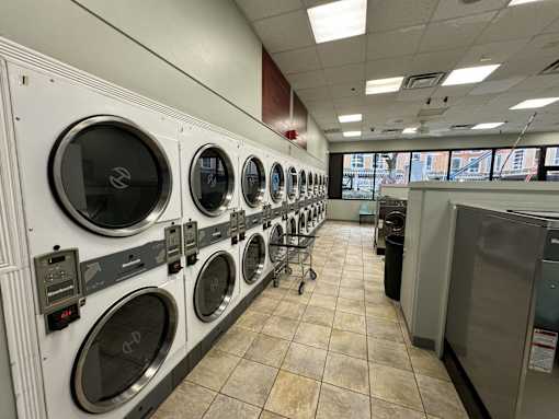 A row of front-loading washing machines in a public laundromat.