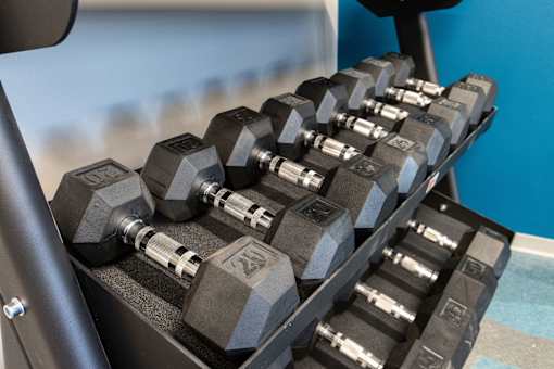 A set of dumbbells are arranged on a rack. at 35 Broadway Apartments, Menands, 12204