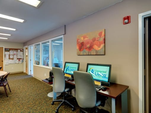 Countryside Media Room.
