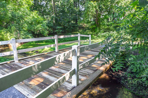 Hiking Trails at Williamsburg Estates, Harrisburg, Pennsylvania