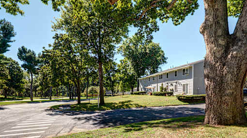 A tree is in front of a building at Colonial Estates Apartments, Springfield, MA